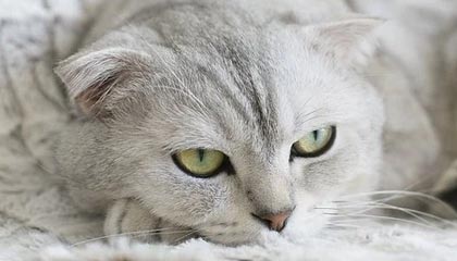 时时彩|综合体育赛事v3.3.5