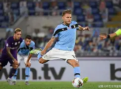 博洛尼亚主场击败对手，目标升级的简单介绍