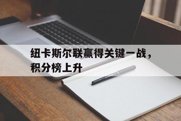 包含纽卡斯尔联赢得关键一战，积分榜上升的词条
