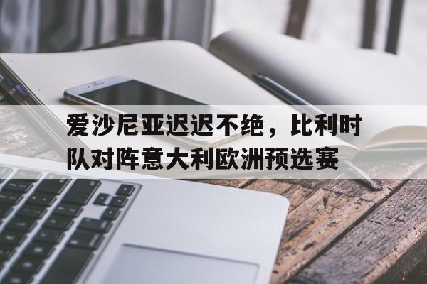 爱沙尼亚迟迟不绝，比利时队对阵意大利欧洲预选赛